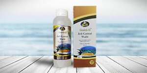 Jelly-Gamat-Walet-500ml_884cdae853635aa0094b5950e0dac2f5
